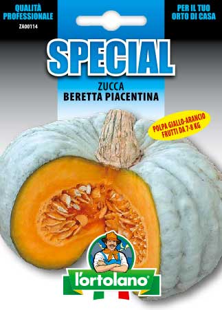 Immagine prodotto Zucca Beretta Piacentina