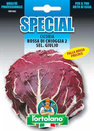 Immagine prodotto CICORIA Rossa di Chioggia 2 sel.Giulio (Precoce)