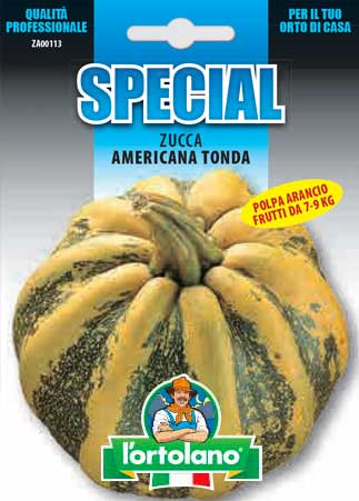 Immagine prodotto Zucca Americana Tonda