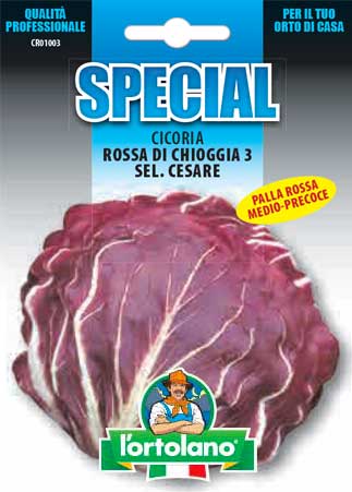 Immagine prodotto CICORIA Rossa di Chioggia 3 sel.Cesare (Medio/Precoce)