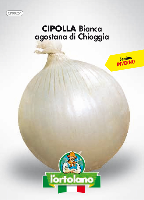 Immagine prodotto CIPOLLA Bianca agostana di Chioggia