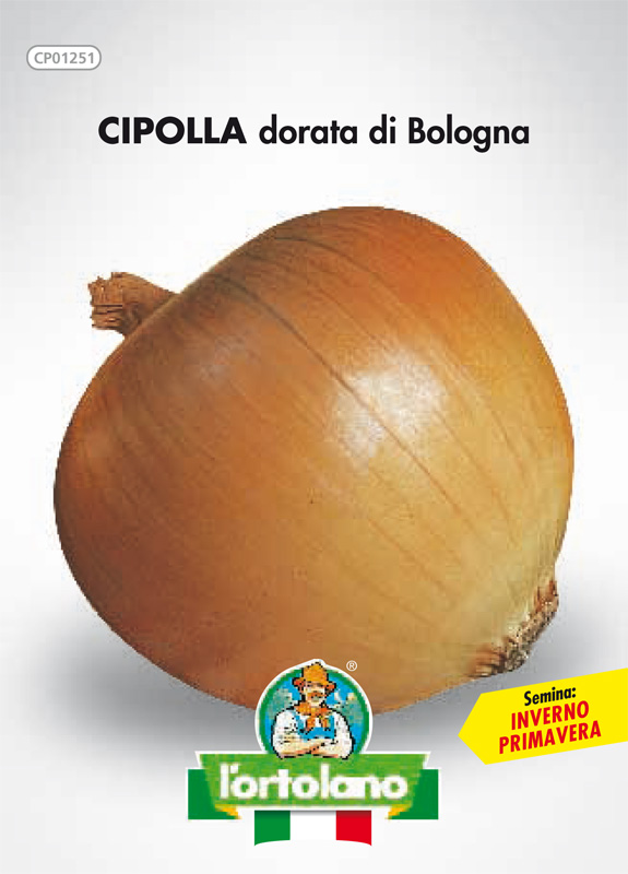 Immagine prodotto CIPOLLA dorata di Bologna