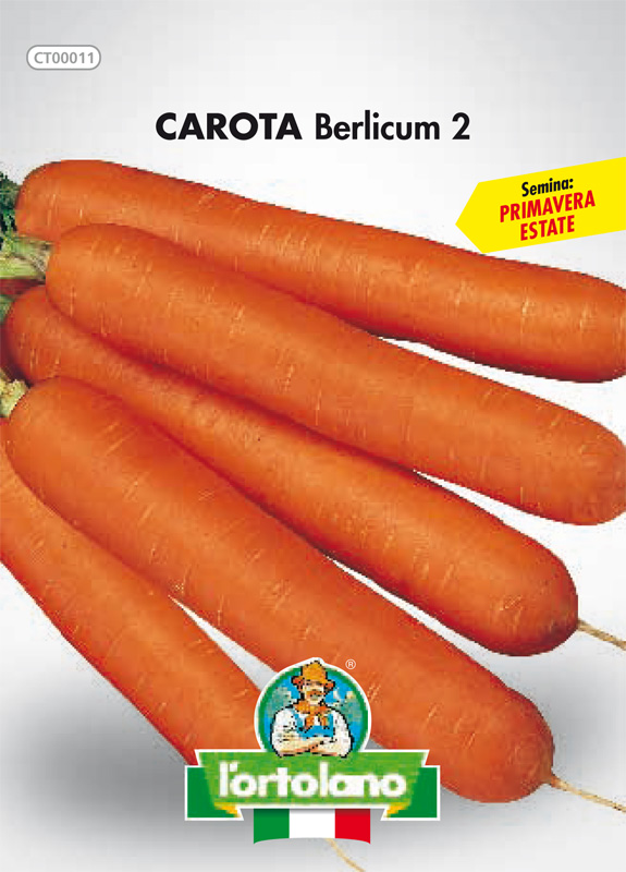 Immagine prodotto CAROTA Berlicum 2