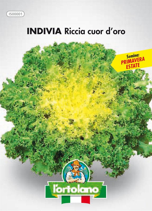 Immagine prodotto INDIVIA Riccia cuor d’oro