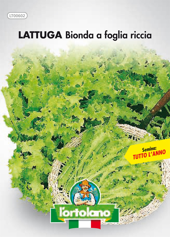 Immagine prodotto LATTUGA Bionda a foglia riccia