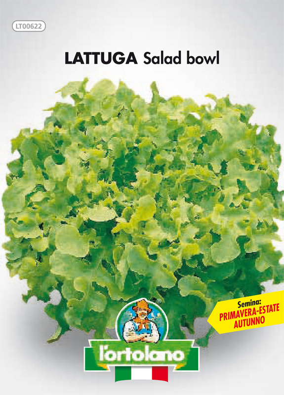 Immagine prodotto LATTUGA Salad bowl