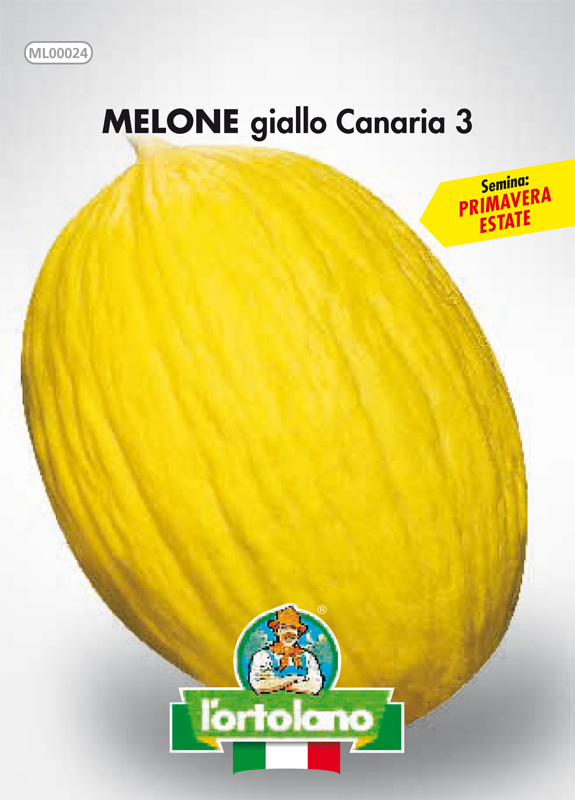 Immagine prodotto MELONE giallo Canaria 3