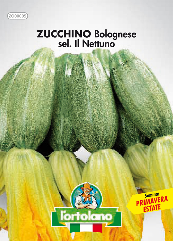 Immagine prodotto ZUCCHINO Bolognese sel. Il Nettuno