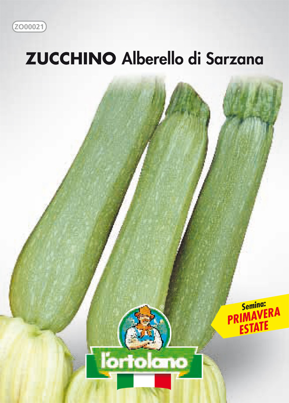 Immagine prodotto ZUCCHINO Alberello di Sarzana