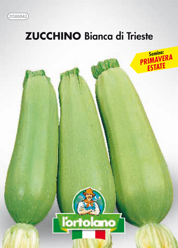 Immagine prodotto ZUCCHINO Bianca di Trieste