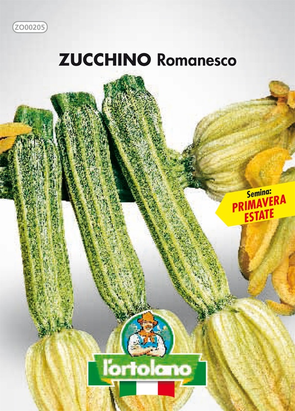 Immagine prodotto ZUCCHINO Romanesco