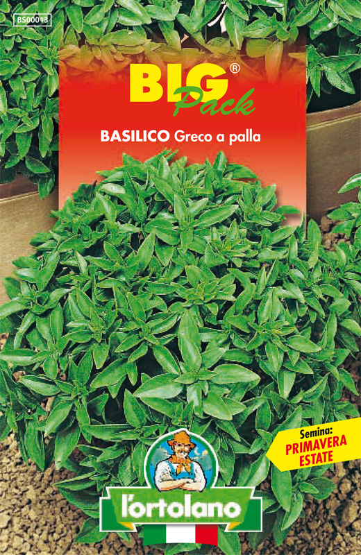 Immagine prodotto BASILICO Greco a palla